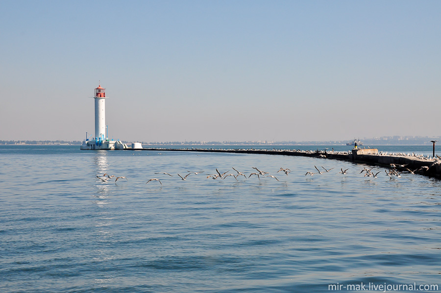 По мере продвижения к маяку птицы нехотя стаями слетают с насиженных мест. По мере продвижения к маяку птицы нехотя стаями слетают с насиженных мест.