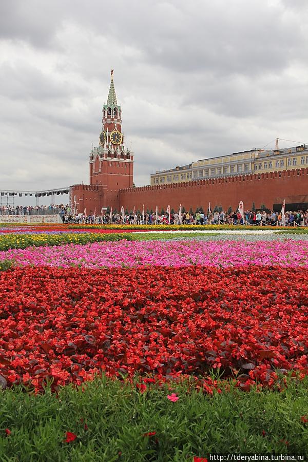 Благоухающий ковер Красной площади Москва, Россия Благоухающий ковер Красной площади Москва, Россия