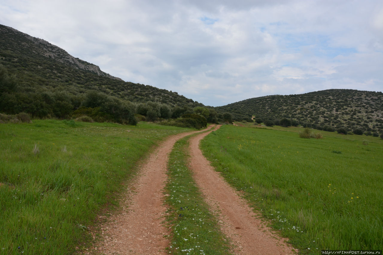 Весенний Лагонисси Аттика, Греция Весенний Лагонисси Аттика, Греция