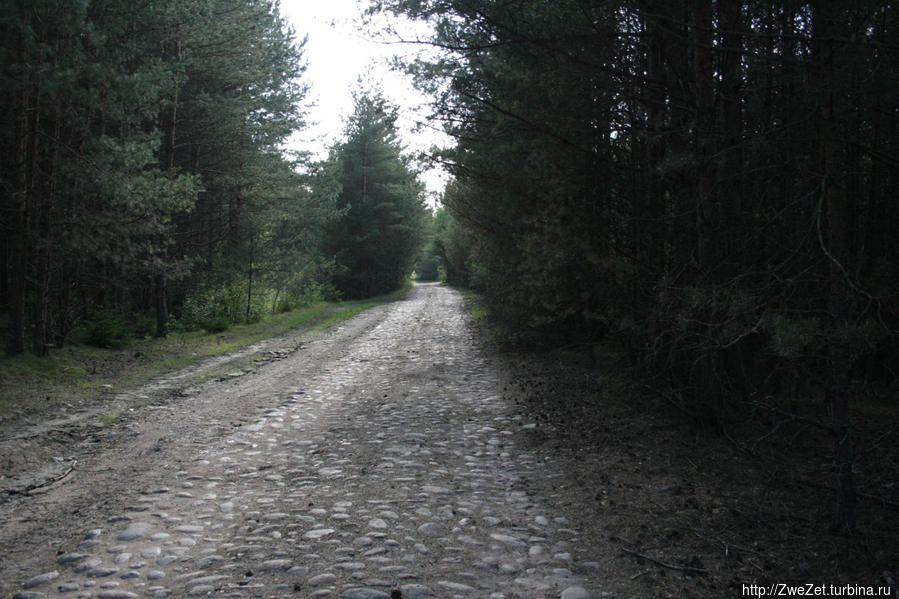Старинная финская дорога — основная магистраль острова Остров Гогланд, Россия
