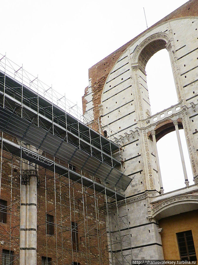 Сиена. Символ богатства и упадка Сиена, Италия Сиена. Символ богатства и упадка Сиена, Италия