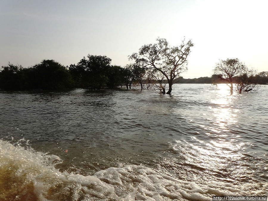 Камбоджа. Плавучая деревня Камбоджа Камбоджа. Плавучая деревня Камбоджа