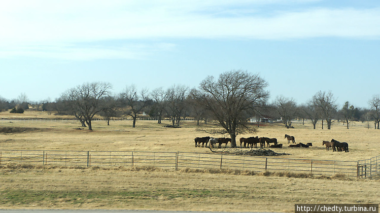 Помоему еще ровнее чем в Помоему еще ровнее чем в
