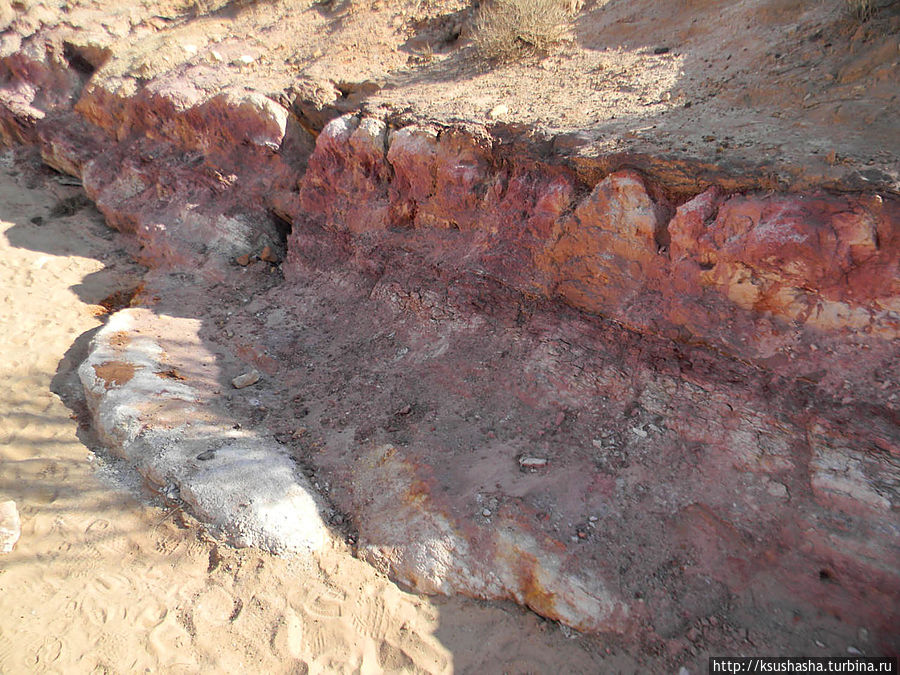 Цветные пески Эйн-Яав Мицпе-Рамон, Израиль Цветные пески Эйн-Яав Мицпе-Рамон, Израиль