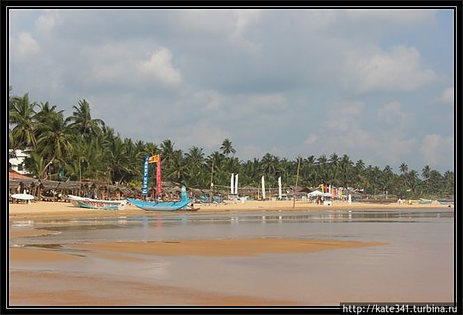 Внеплановое посещение родины чая и улыбок. Хиккадува-еда Хиккадува, Шри-Ланка Внеплановое посещение родины чая и улыбок. Хиккадува-еда Хиккадува, Шри-Ланка