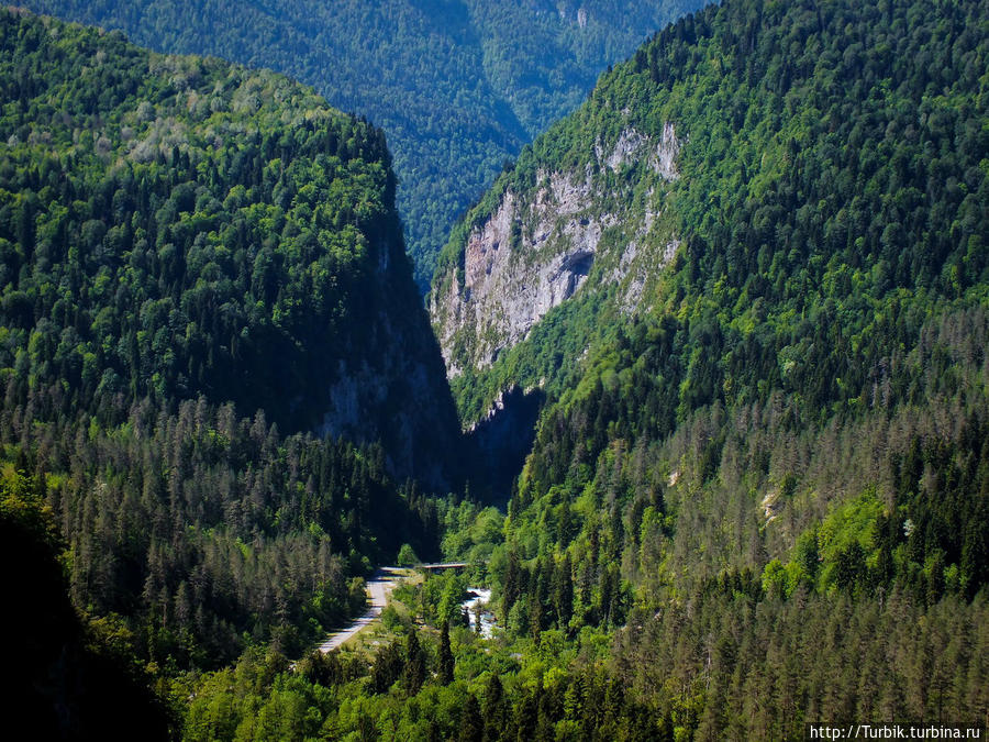Юпшарское ущелье Рица Реликтовый Национальный Парк, Абхазия