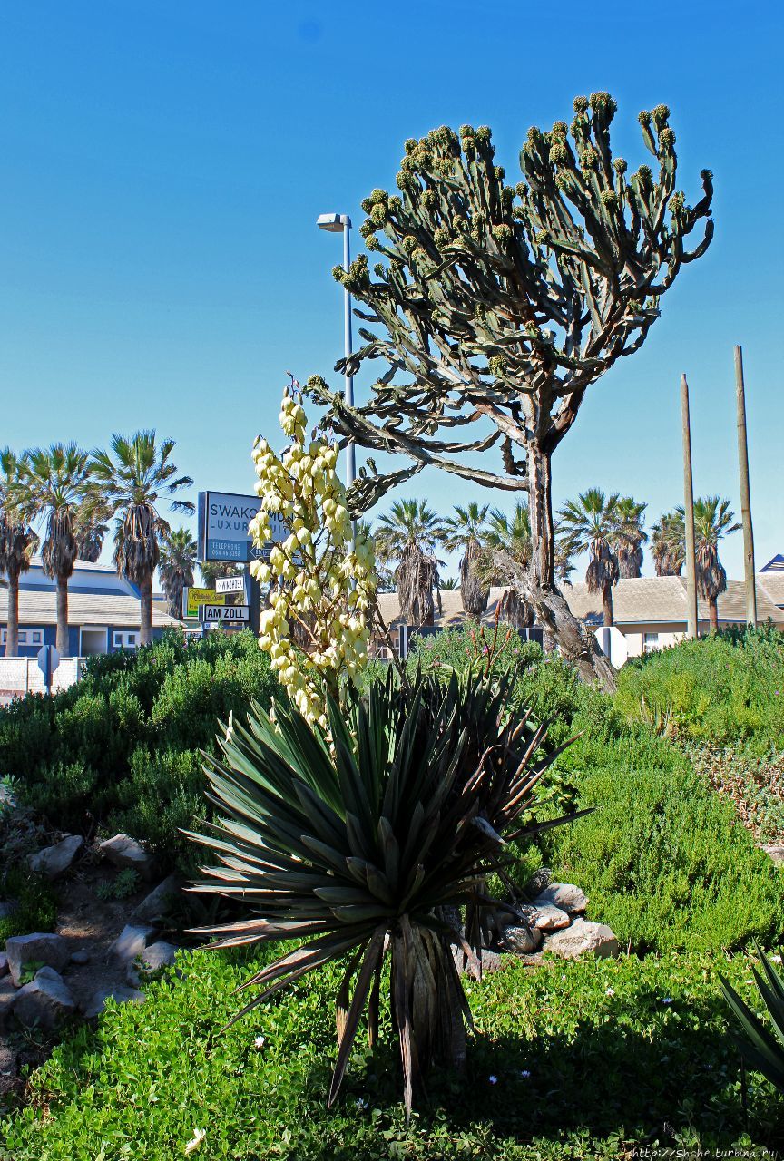 Аллея Влюбленных Свакопмунд, Намибия Аллея Влюбленных Свакопмунд, Намибия