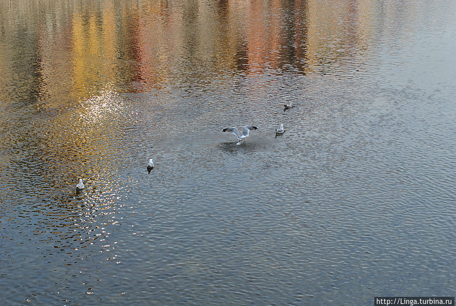 Прогулки по Жироне Жирона, Испания Прогулки по Жироне Жирона, Испания