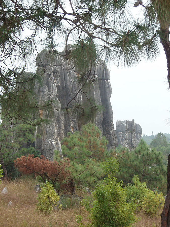 Осень в Каменном лесу Куньмин, Китай