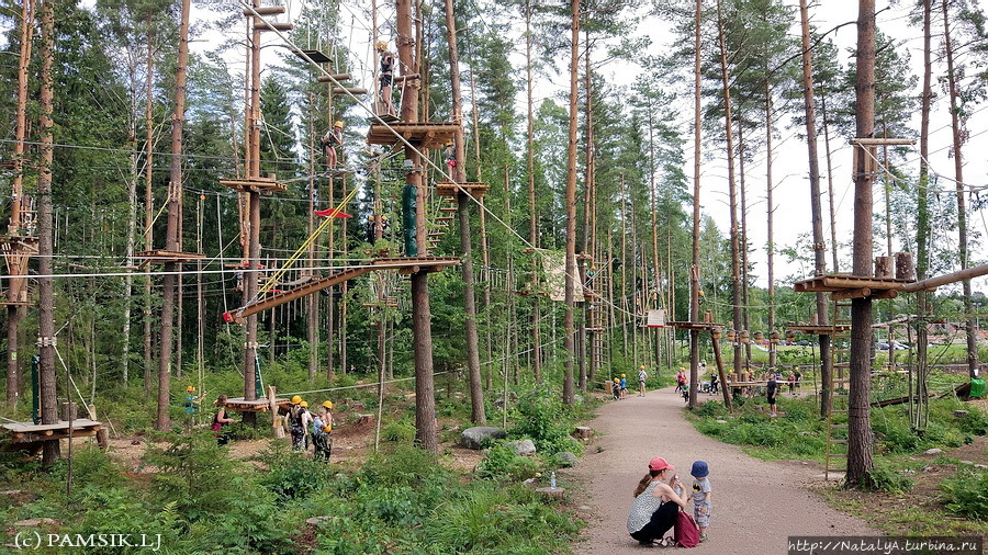 Верёвочный ПАРК ПРИКЛЮЧЕНИЙ KORKEE PALOHEINÄ (Adventure Park Хельсинки, Финляндия