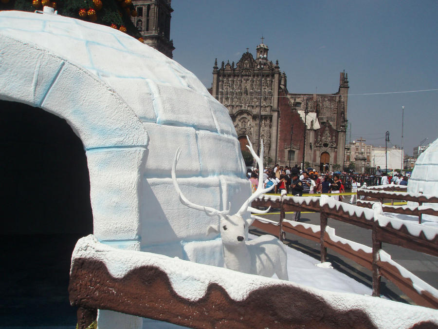 Я в Мексике! Перед Рождеством Мехико, Мексика Я в Мексике! Перед Рождеством Мехико, Мексика