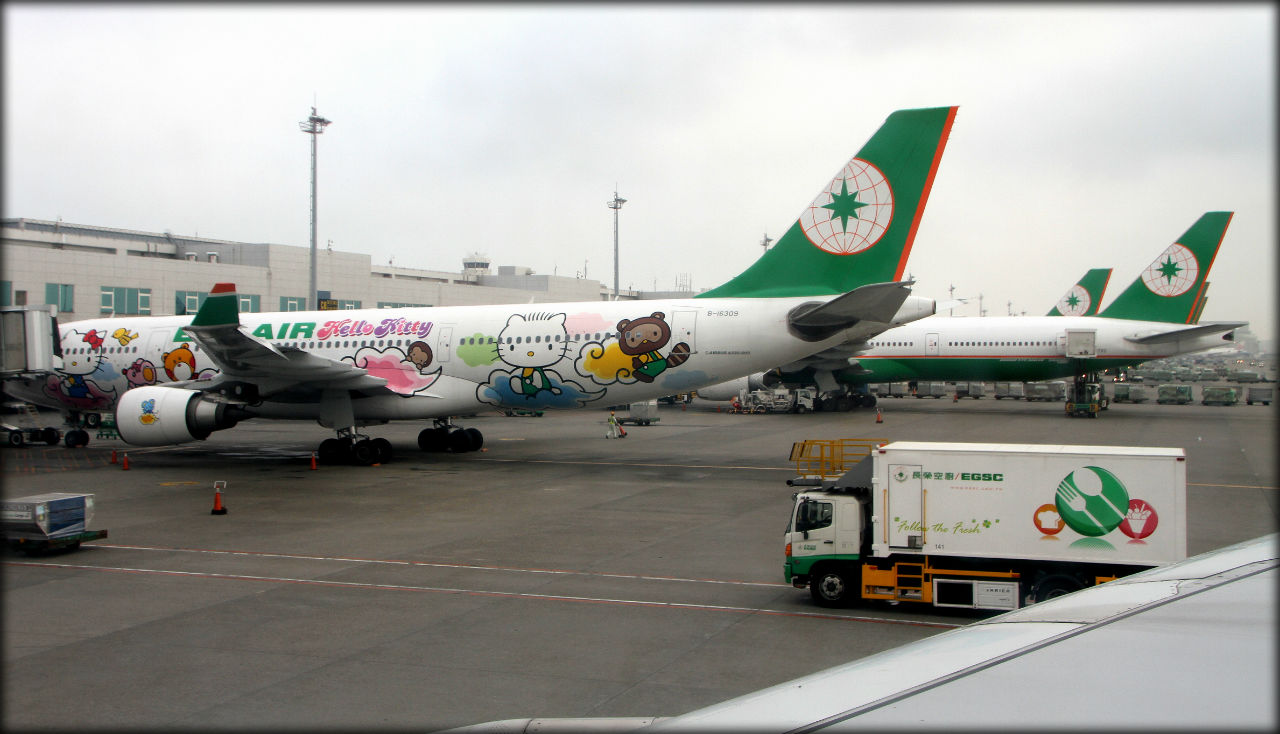 Крылья наших мечтаний Крылья наших мечтаний