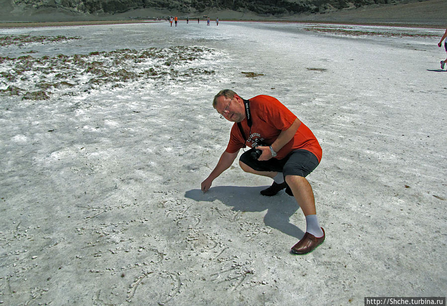 так когда и линии Наска возникли:))) так когда и линии Наска возникли:)))