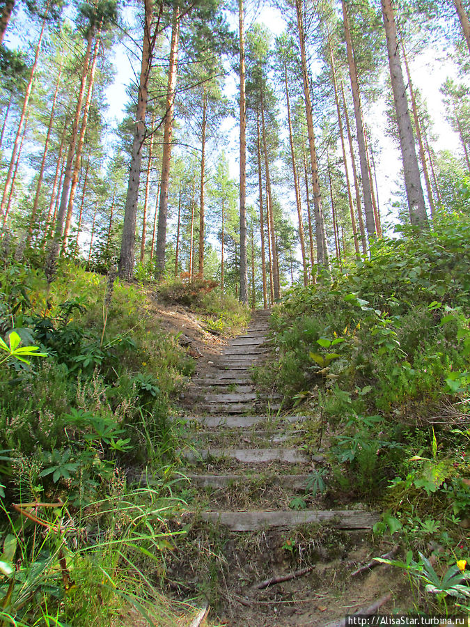 Вокруг Пункахарью или прогулка по Старой Королевской дороге Пункахарью, Финляндия
