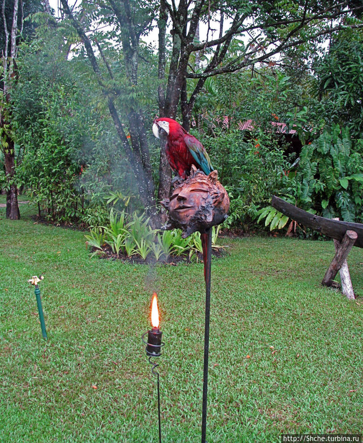 Экзотика проживания в Лагуне Канайма Национальный парк Канайма, Венесуэла