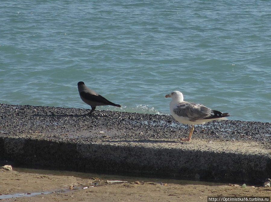 Дидим в конце октября Дидим, Турция Дидим в конце октября Дидим, Турция