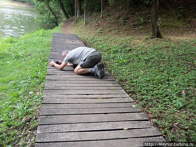 Мы обошли озеро по периметру , потратив более одного часа, делая фотоснимки и просто любуясь красотой окружающей нас природы. Мы обошли озеро по периметру , потратив более одного часа, делая фотоснимки и просто любуясь красотой окружающей нас природы.