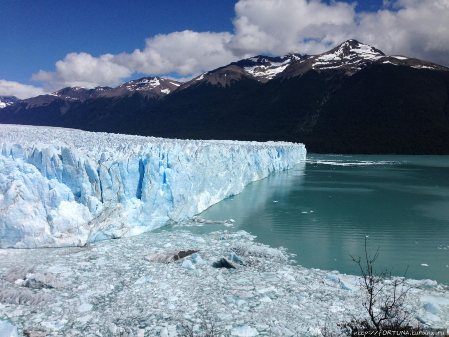 Ледник Перито Морено Лос-Гласьярес Национальный парк, Аргентина Ледник Перито Морено Лос-Гласьярес Национальный парк, Аргентина