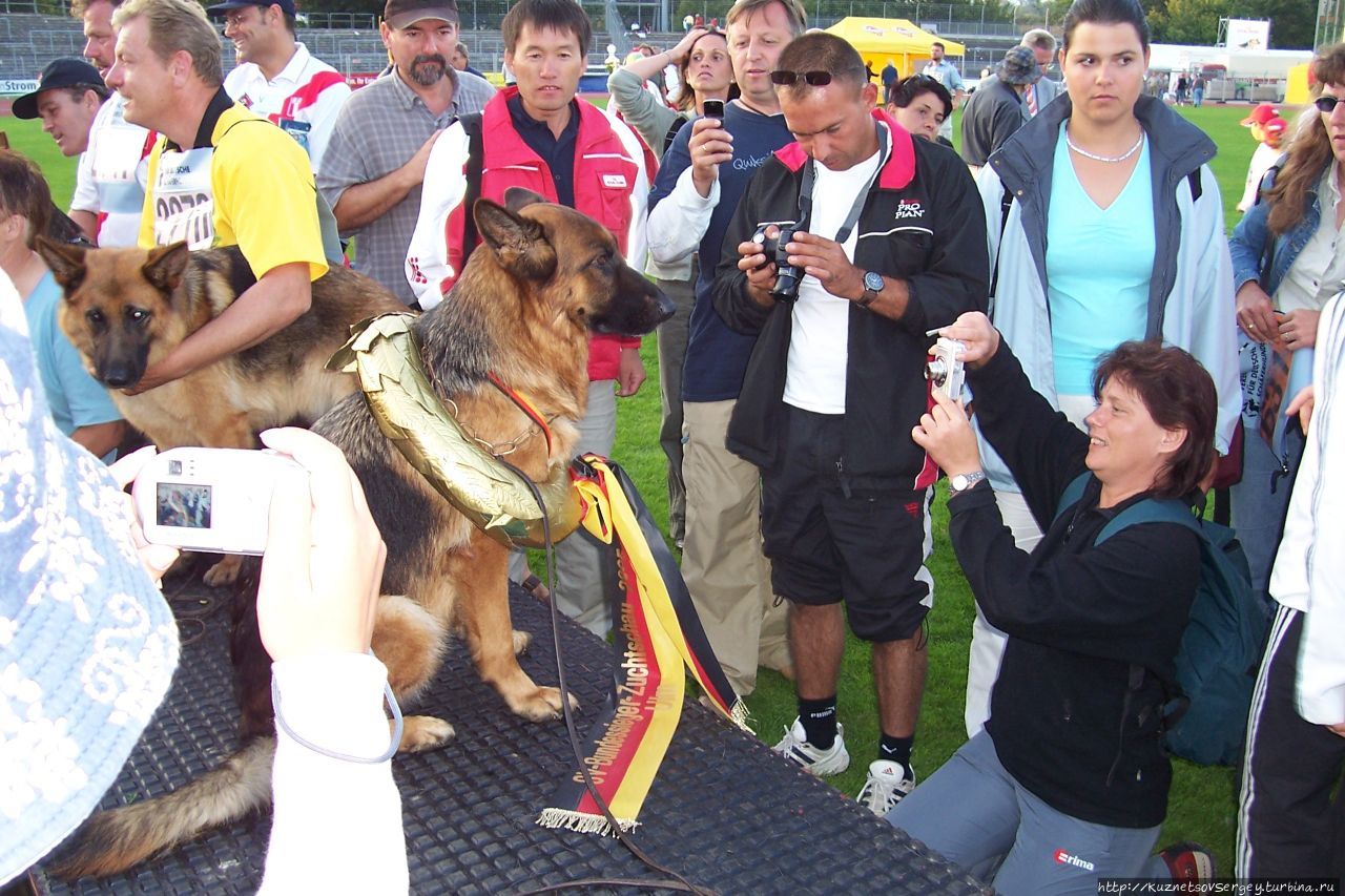 Снова Ульм, снова Зигер! Ульм, Германия Снова Ульм, снова Зигер! Ульм, Германия