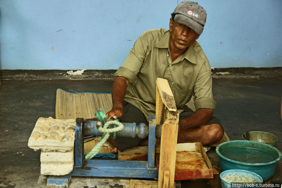 Шри — Ланка. Райский островок. Шри-Ланка Шри — Ланка. Райский островок. Шри-Ланка