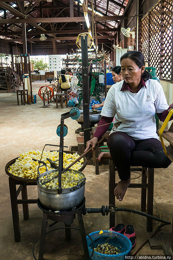 Экскурсия на фабрику шелка Провинция Сиемреап, Камбоджа