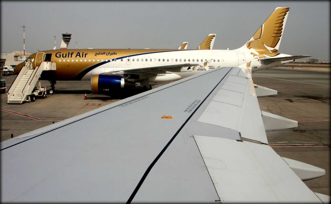 Крылья наших мечтаний Крылья наших мечтаний