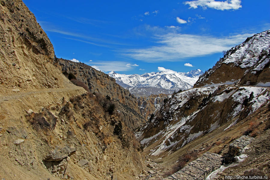 Мустанг, день2. Вышли на рабочую высоту 3800м, перевал Yamda Сианбоче, Непал