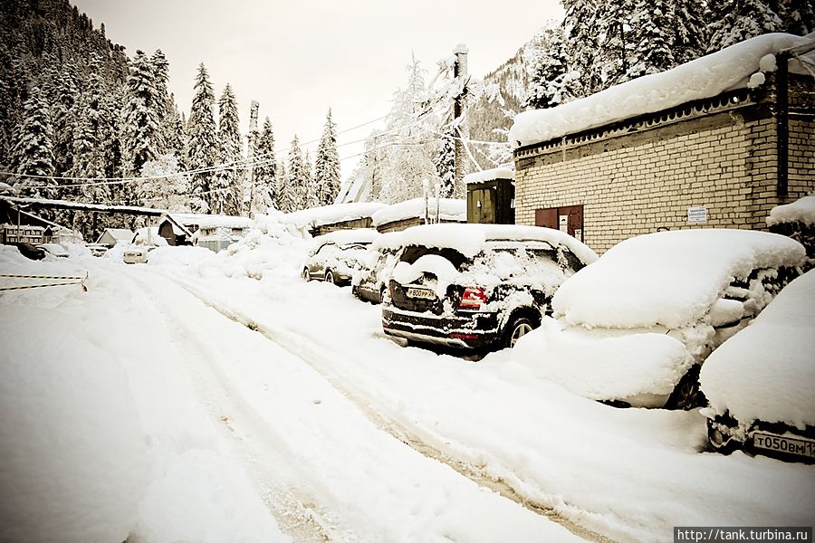 Домбай. В солнечном свете и утреннем тумане Домбай, Россия Домбай. В солнечном свете и утреннем тумане Домбай, Россия