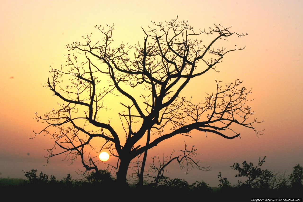 КТО С НАМИ? Россия КТО С НАМИ? Россия