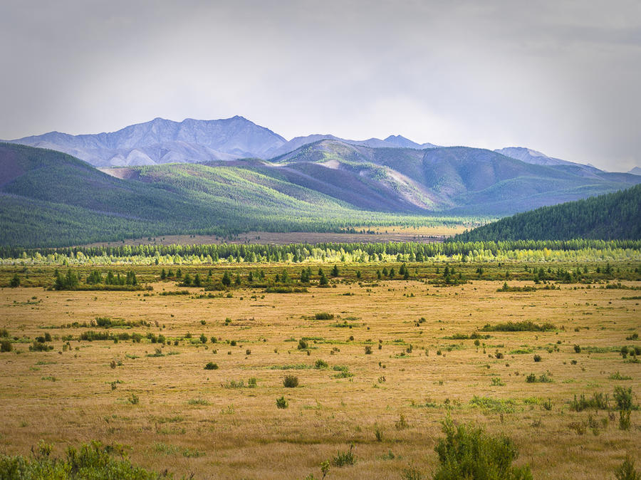 Долина на окраине котловины. Здесь никого нет, никто не пасет скот, никто не ставит юрты, это место никому не нужно. Тишина. Монголия