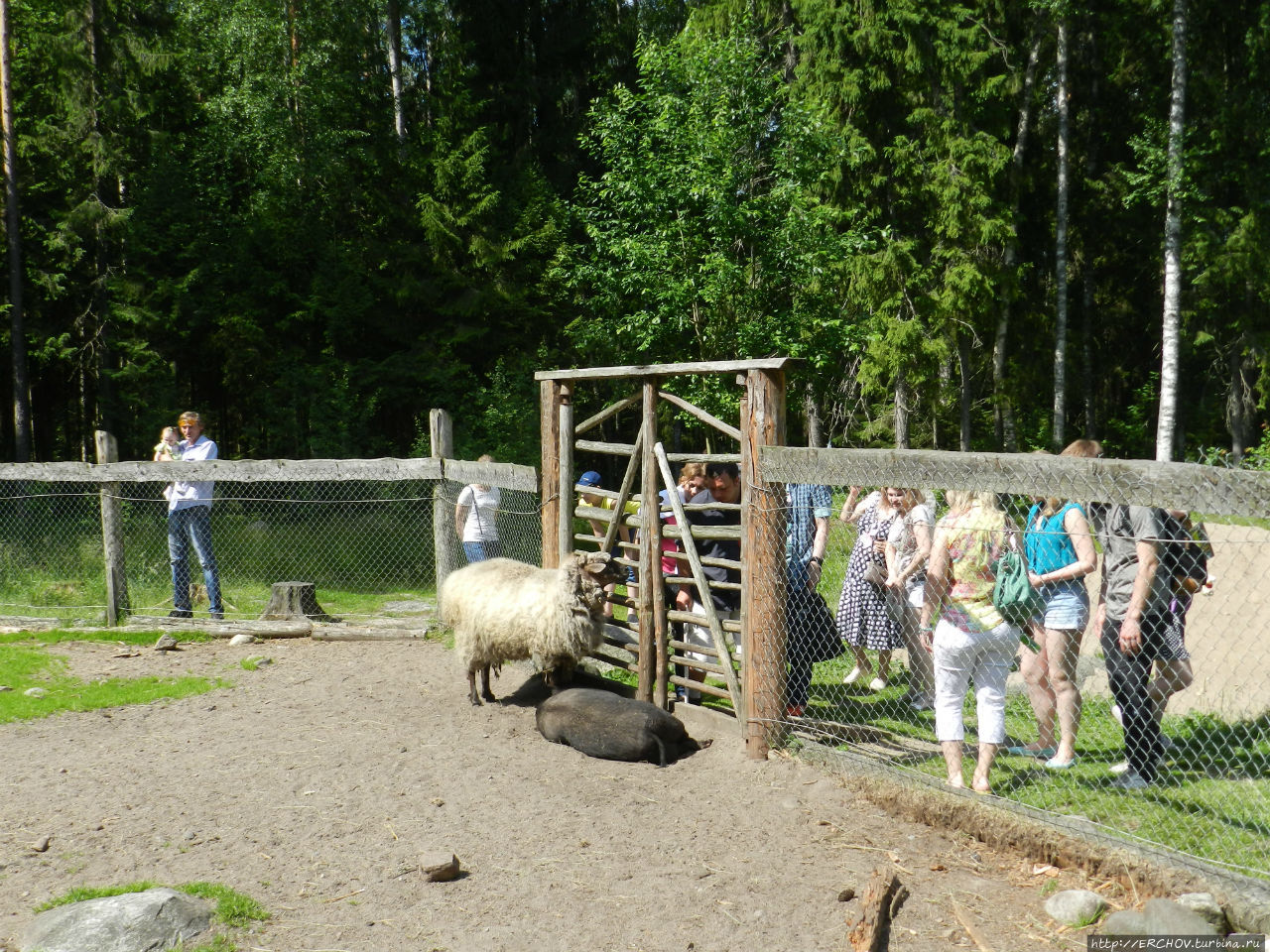 Зоопарк и поляна сказок Верхние Мандроги, Россия