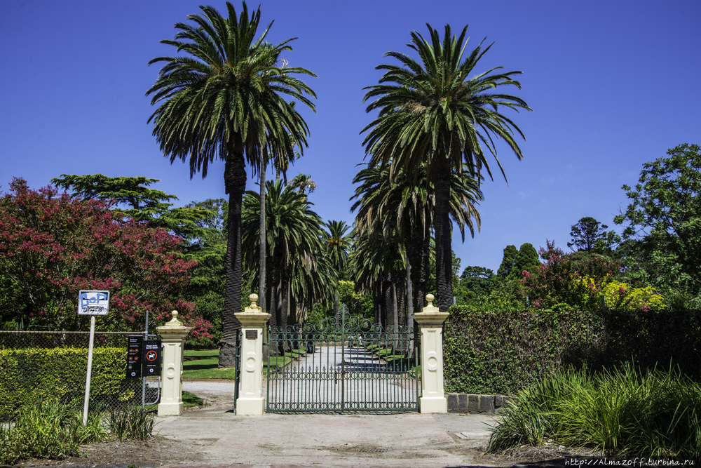 Ботанический Сад Сент-Килда Мельбурн, Австралия