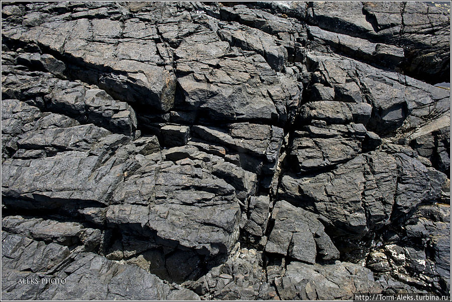 Удивительное хитросплетение трещин в прибрежных камнях. Вот она живая фактура природы...
* Кандолим, Индия