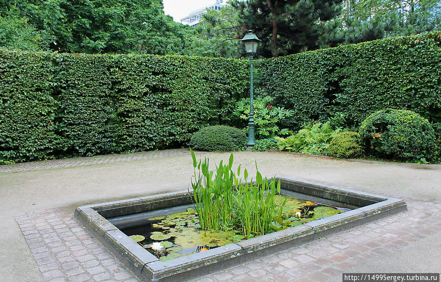 Брюссель. Прогулка в ботаническом саду Брюссель. Прогулка в ботаническом саду