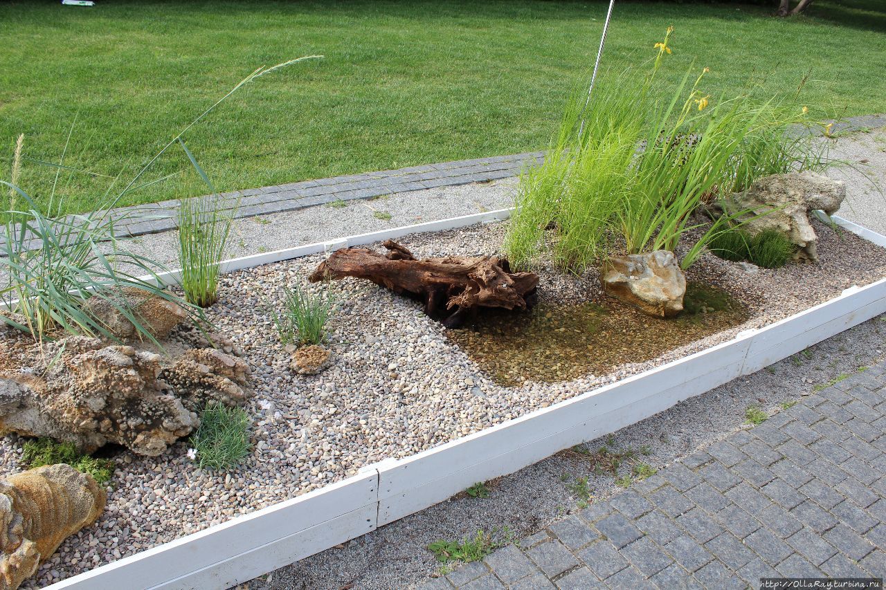 Moscow Flower Show 2017. Фотоотчёт и впечатления. Москва, Россия Moscow Flower Show 2017. Фотоотчёт и впечатления. Москва, Россия