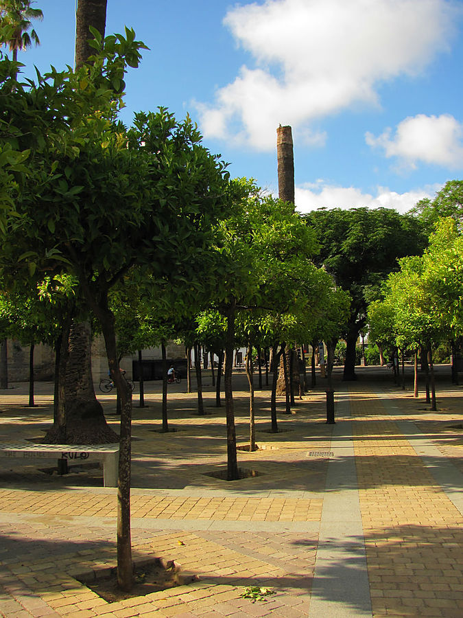 Но сначала — первая встреча с местными. Возле Крепости есть большая парковая площадь. Пока разглядывали карту и решали куда идти, рядом остановилась тётушка. Смотрит на нас, руки в боки. И тут выдаёт:
— Русские, штоль?
Знакомимся. Галина из Белоруссии. Здесь работает прислугой в семье. Рассказывает, какой хороший город Херес и какая хорошая Испания вообще. Но работу найти очень сложно, особенно мужчинам. Спрашивает, где ещё были и что видели. Восторгается Мадридом, говорит, что работала там какое-то время.
— Но дедушка умер и пришлось уехать...
Сначала, услышав это, впали в ступор. А потом догадались, что в Мадриде она ухаживала за престарелым человеком. На прощание она передаёт привет Москве. Адьос! Но сначала — первая встреча с местными. Возле Крепости есть большая парковая площадь. Пока разглядывали карту и решали куда идти, рядом остановилась тётушка. Смотрит на нас, руки в боки. И тут выдаёт:
— Русские, штоль?
Знакомимся. Галина из Белоруссии. Здесь работает прислугой в семье. Рассказывает, какой хороший город Херес и какая хорошая Испания вообще. Но работу найти очень сложно, особенно мужчинам. Спрашивает, где ещё были и что видели. Восторгается Мадридом, говорит, что работала там какое-то время.
— Но дедушка умер и пришлось уехать...
Сначала, услышав это, впали в ступор. А потом догадались, что в Мадриде она ухаживала за престарелым человеком. На прощание она передаёт привет Москве. Адьос!