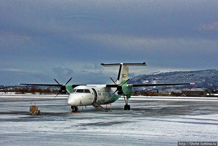 За час до вылета на полосе стоял только этот борт. Успел подумать, неужели на винтах полетим... За час до вылета на полосе стоял только этот борт. Успел подумать, неужели на винтах полетим...
