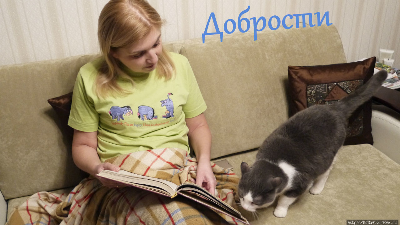 С Днем Рождения, DONNICO! С Днем Рождения, DONNICO!