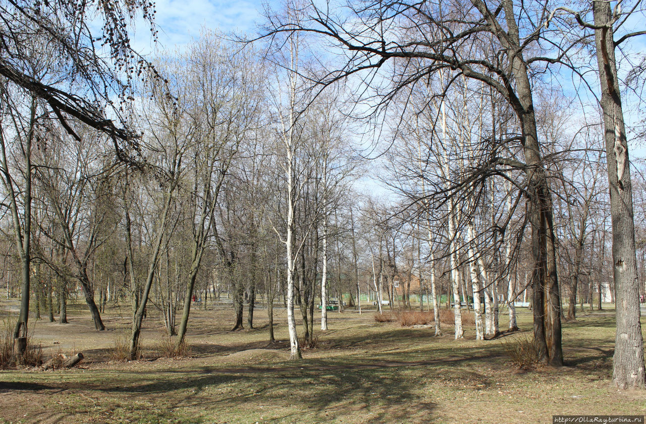 Губернаторский парк в мае. Петрозаводск, Россия