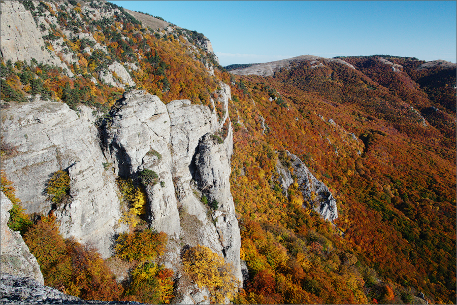 Красота! Красота!