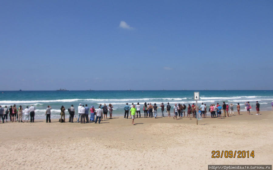 К нам приплыл К нам приплыл