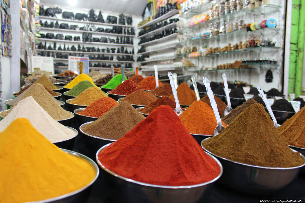 Краски индийского базара