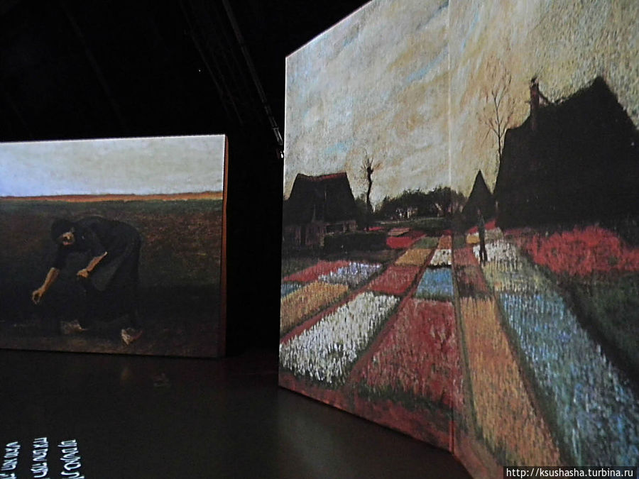 Внутри картины — внутри судьбы Тель-Авив, Израиль Внутри картины — внутри судьбы Тель-Авив, Израиль