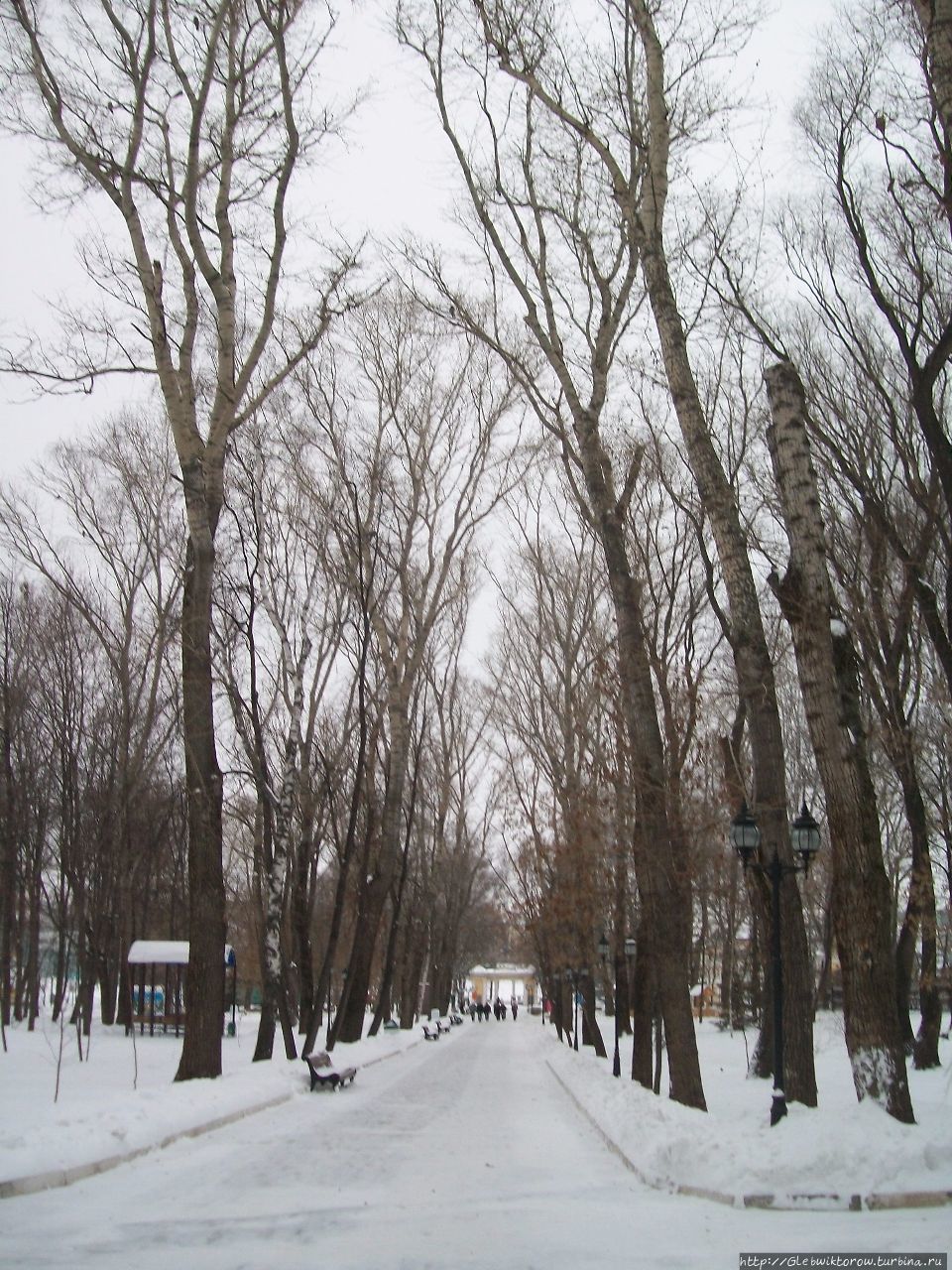 Парк культуры и отдыха им. А. С. Пушкина Саранск, Россия Парк культуры и отдыха им. А. С. Пушкина Саранск, Россия