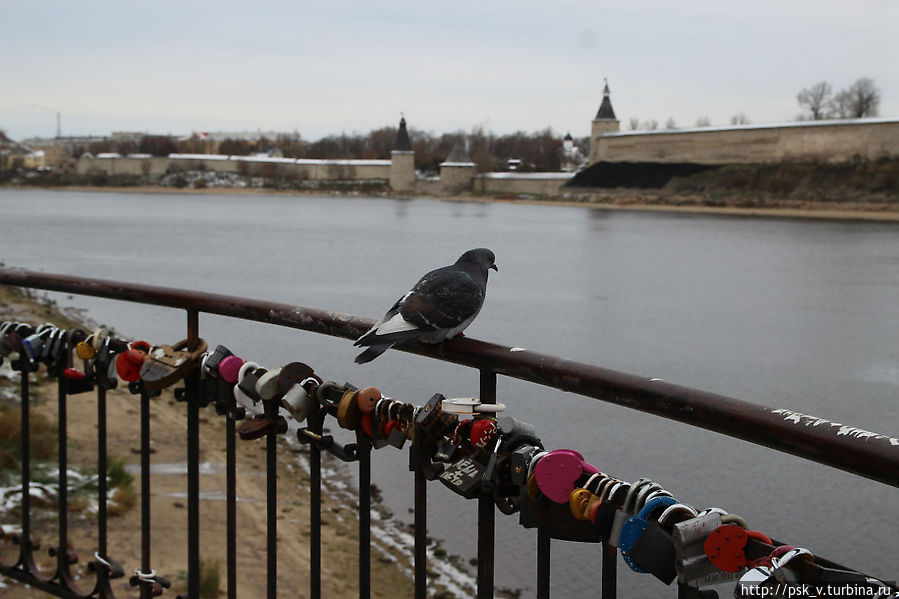 Место новобрачных, здесь выпускают голубей. Может быть, и эта птичка когда-нибудь участвовала в данной церемонии Место новобрачных, здесь выпускают голубей. Может быть, и эта птичка когда-нибудь участвовала в данной церемонии