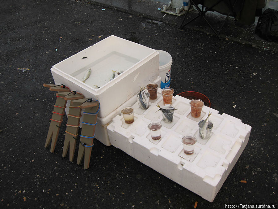 Быстрые зарисовки в Стамбуле Стамбул, Турция Быстрые зарисовки в Стамбуле Стамбул, Турция