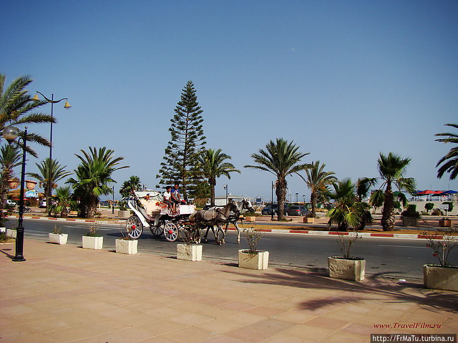 Тунис - Прогулки по Хаммамету!