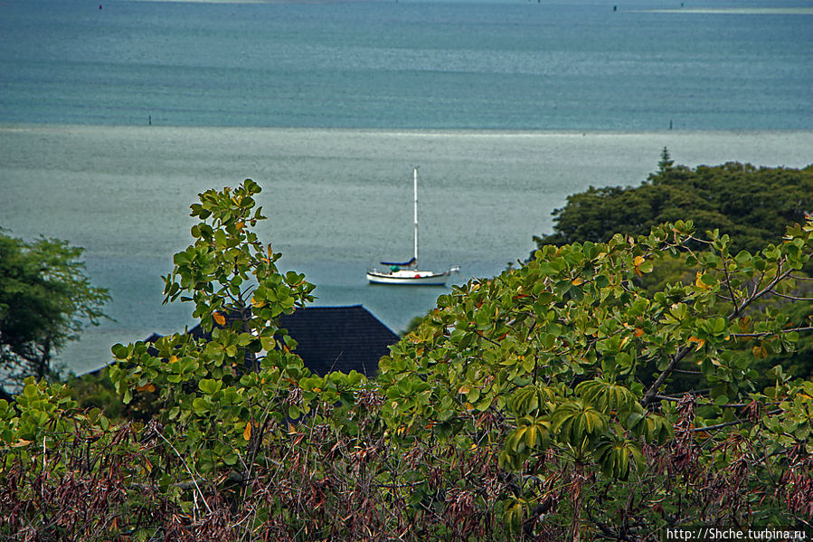 Панорама залива и города Канеохе  на востоке острова Оаху Канеохе, CША