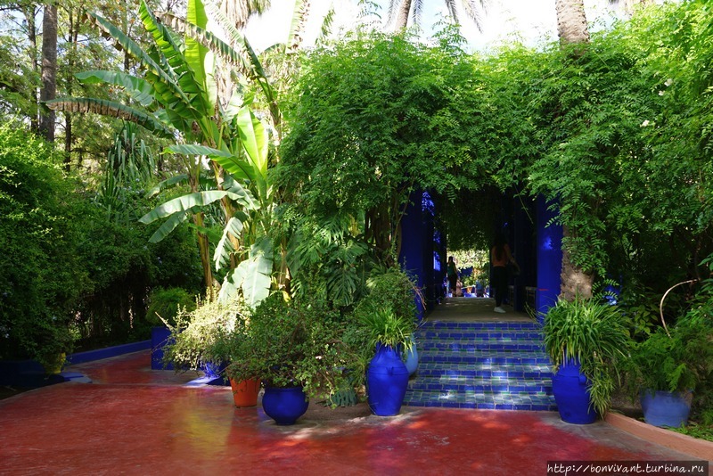 Сад Мажореля Марокко