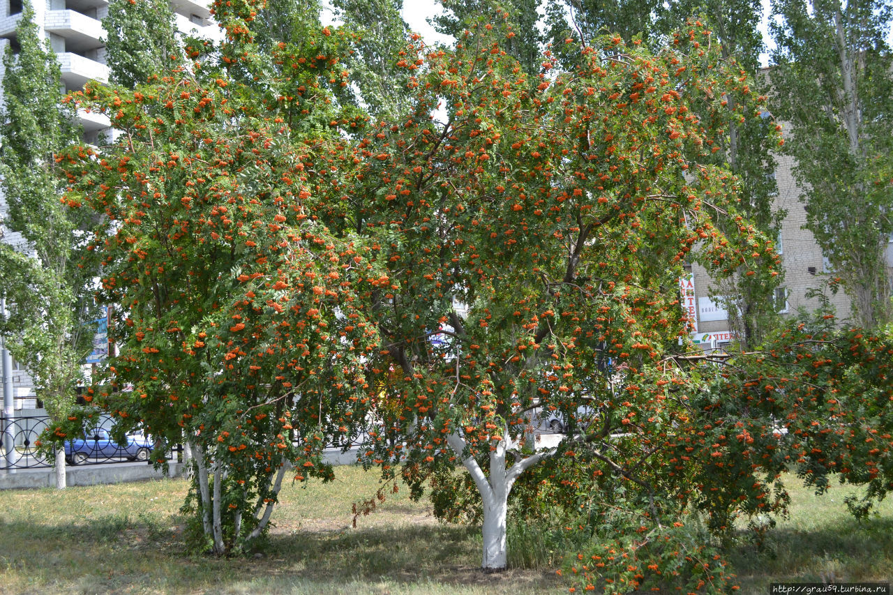 Саратов Россия Саратов Россия